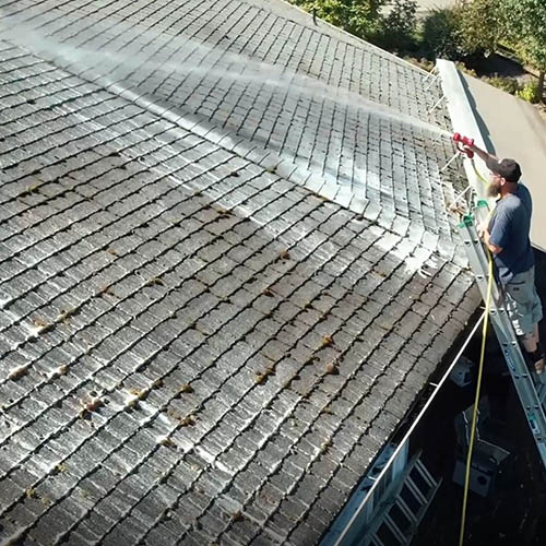 Roof Cleaning & Moss Removal